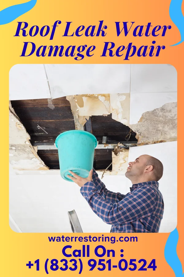 Roof Leak Water Damage Repair in West Chester, IA